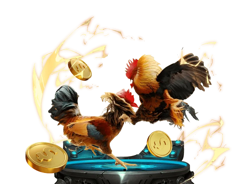 Đá gà trực tuyến, xổ số và trò chơi xúc xắc Sinbet